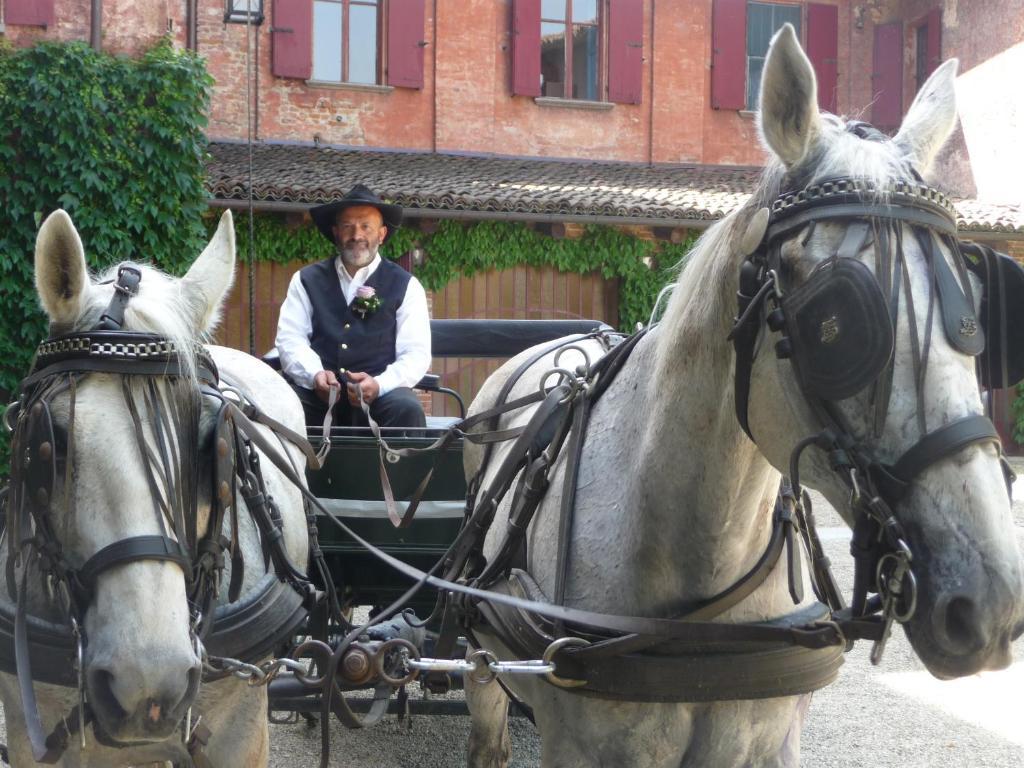 Вилла Agriturismo Cascina Vrona Monteu Roero Экстерьер фото